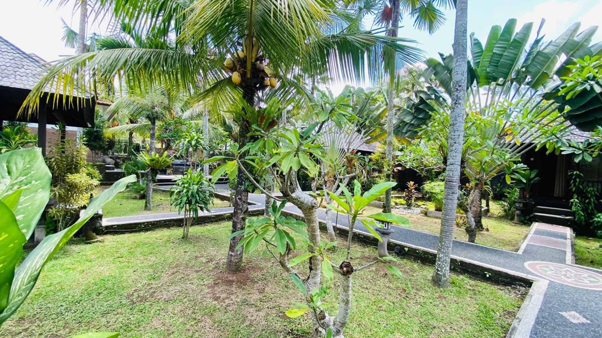 Dong Loka Guesthouse Bali Carangsari Luaran gambar